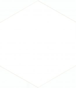 solid-white-215×25-1.jpg